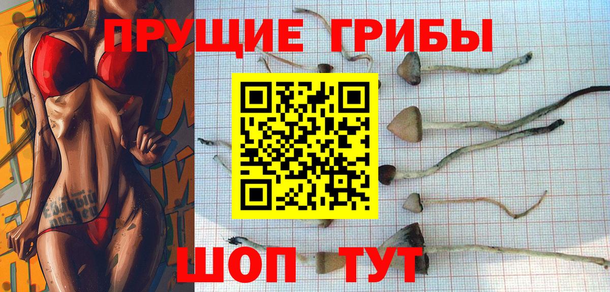 Хасавюрт  Галлюциногенные грибы Psilocybine cubensis  Псилоцибиновые грибы ЛСД  Вход с VPN 